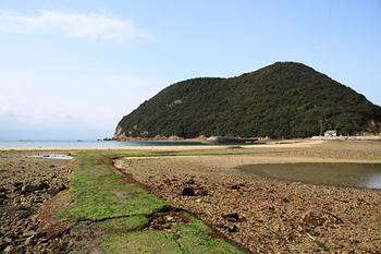 丸山島.jpg